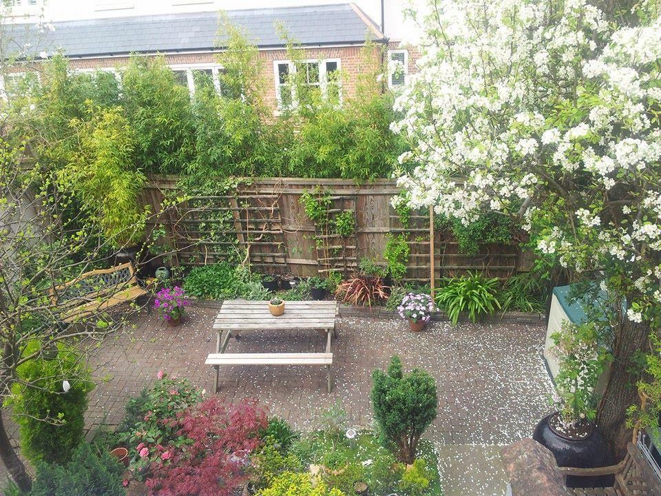 Compton Guest House Londres Extérieur photo